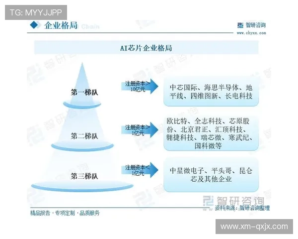 《中国企业家:从创新驱动到全球布局,探索中国企业未来的突破之道》 《中国企业家:从创新驱动到全球布局,探索中国企业未来的突破之道》